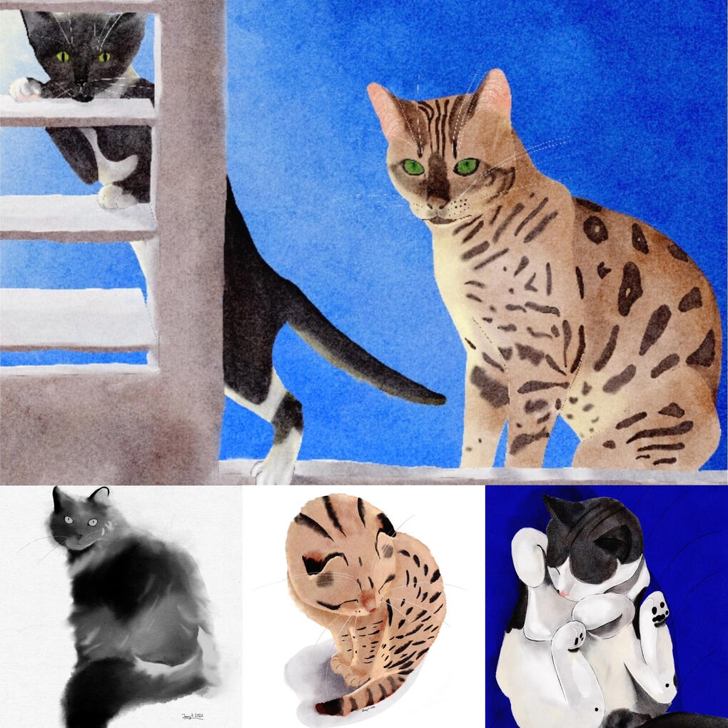 A series of pet portraits